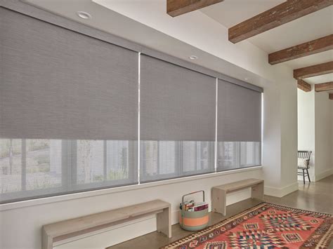 Automatic blackout shades - Cordless cellular shades are a popular choice for homeowners looking to enhance their windows with a sleek and modern window treatment. These shades offer both style and functional...